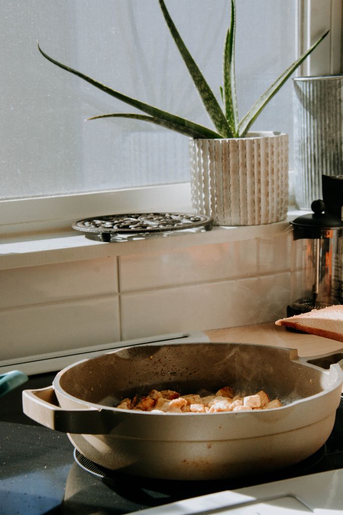 Cozy kitchen with tofu cooking in a pan and an aloe plant by the window.